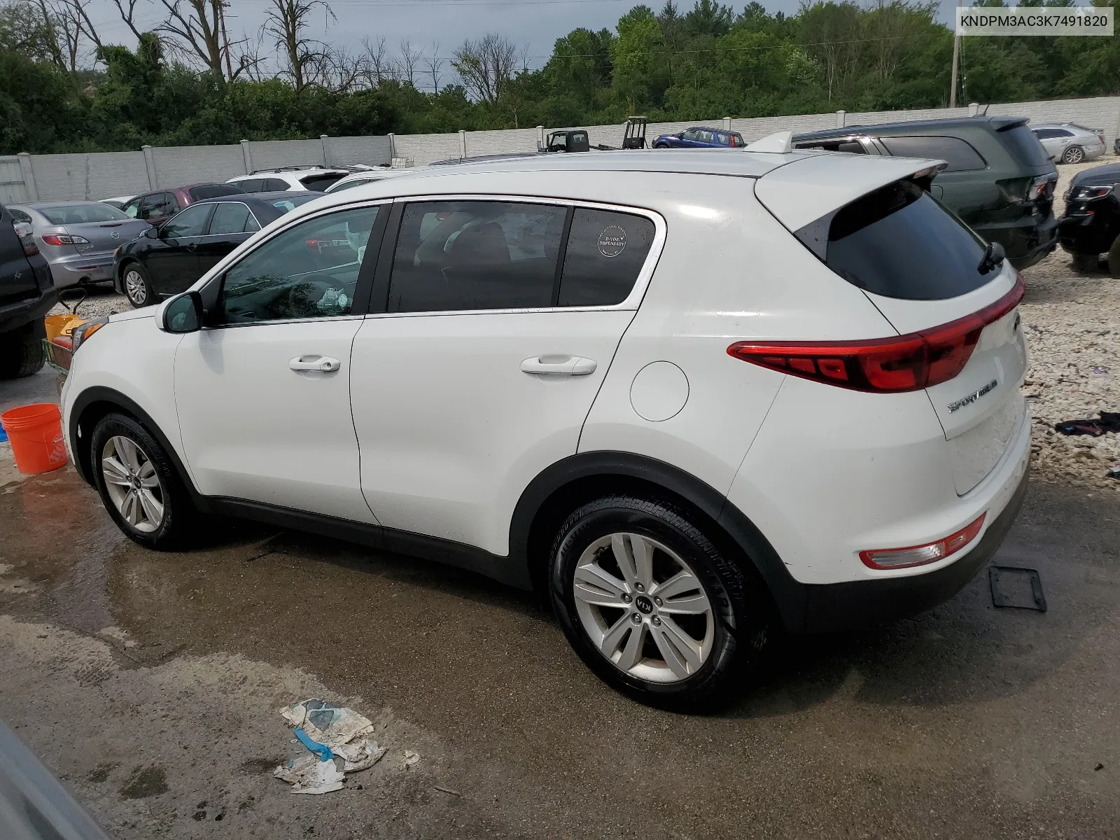 2019 Kia Sportage Lx VIN: KNDPM3AC3K7491820 Lot: 65983414