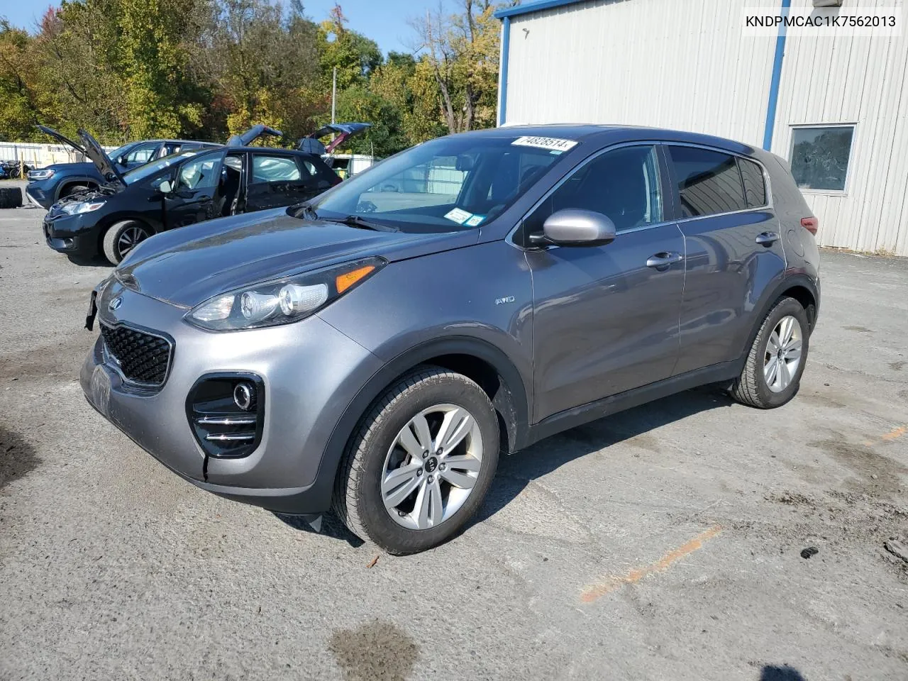 2019 Kia Sportage Lx VIN: KNDPMCAC1K7562013 Lot: 74828514