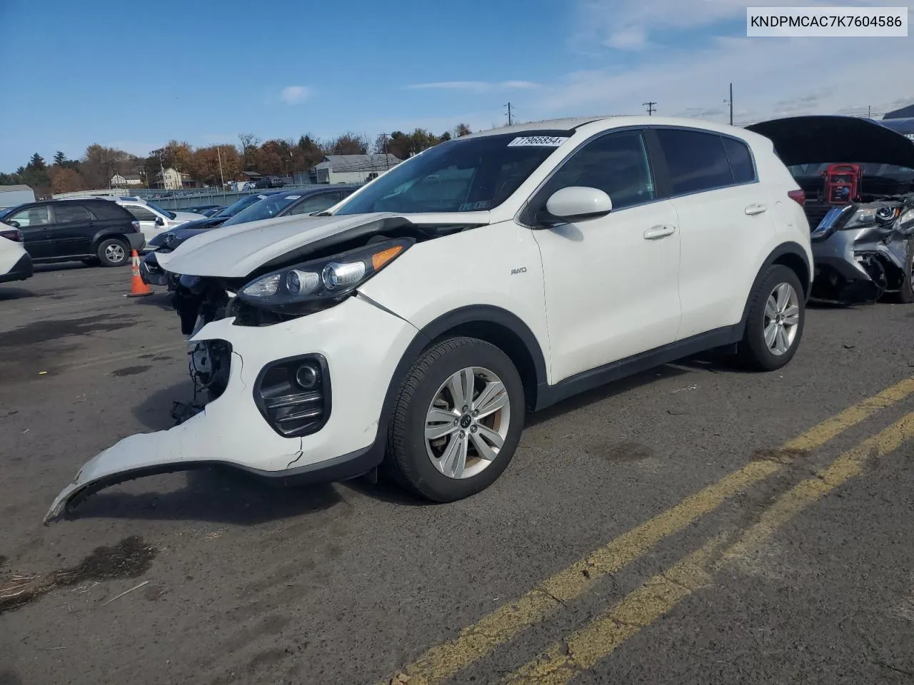 2019 Kia Sportage Lx VIN: KNDPMCAC7K7604586 Lot: 77966854