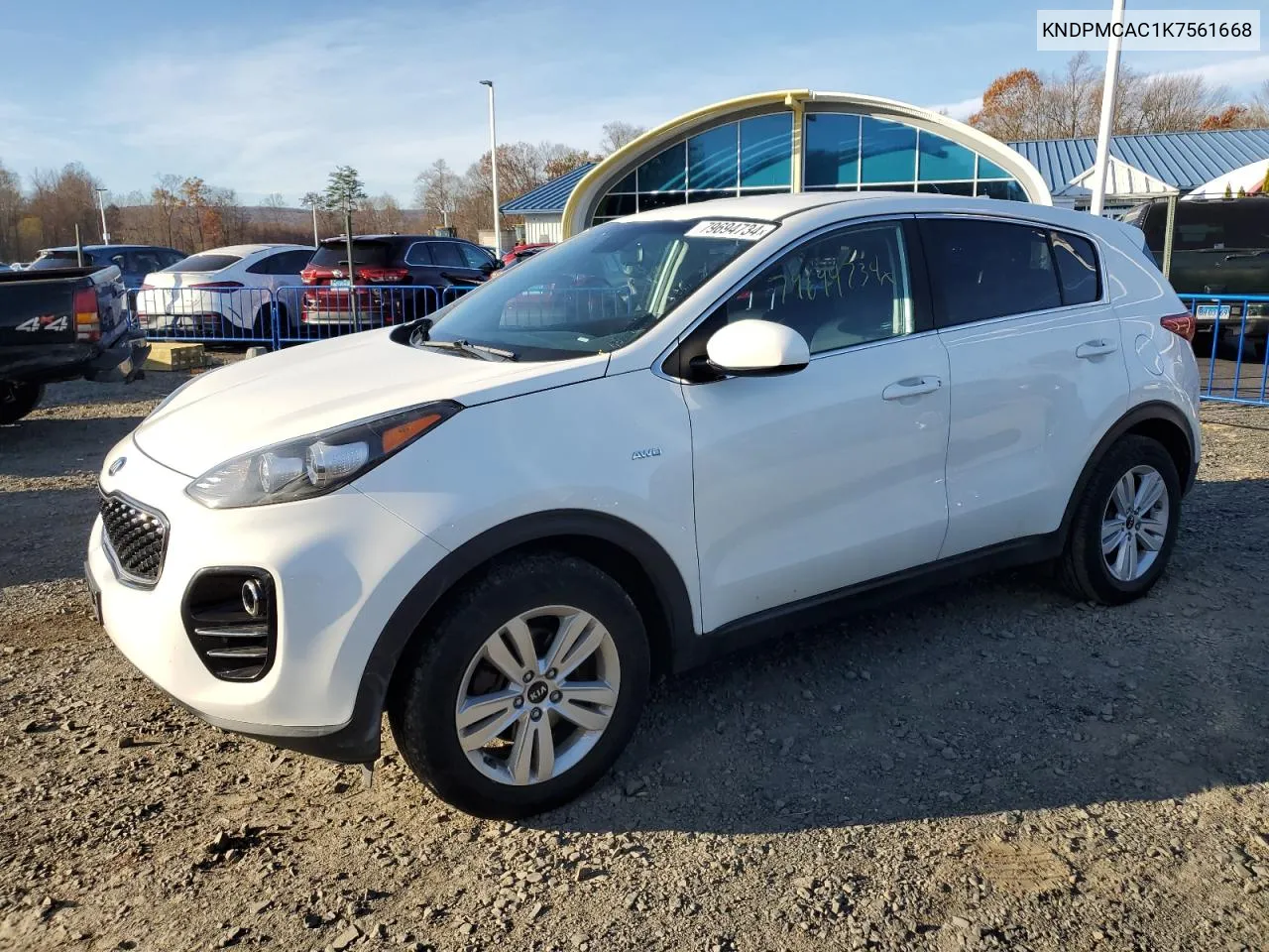 2019 Kia Sportage Lx VIN: KNDPMCAC1K7561668 Lot: 79694734