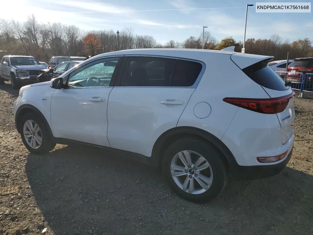 2019 Kia Sportage Lx VIN: KNDPMCAC1K7561668 Lot: 79694734