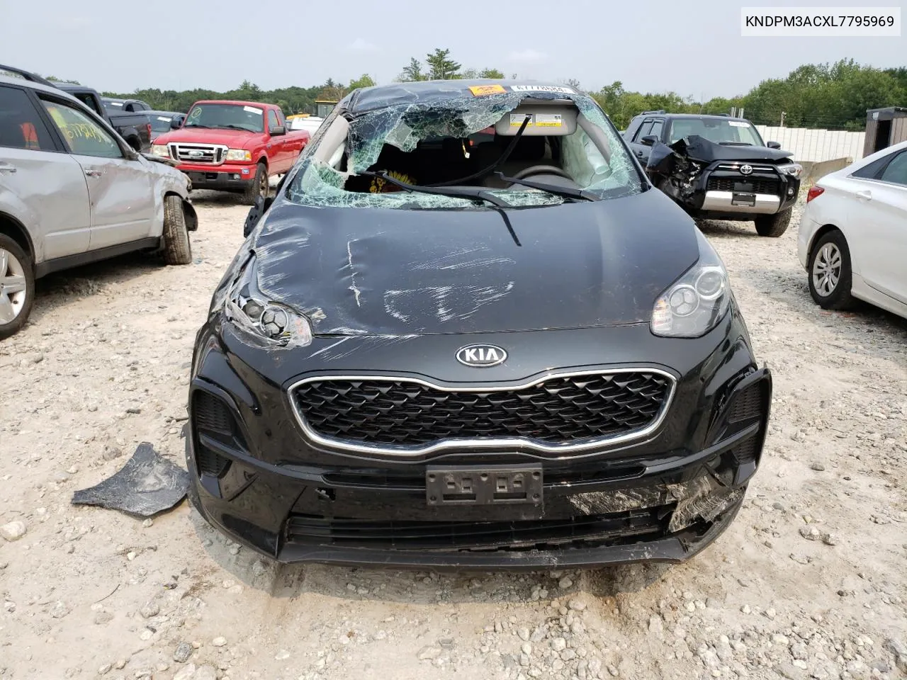 2020 Kia Sportage Lx VIN: KNDPM3ACXL7795969 Lot: 67778684