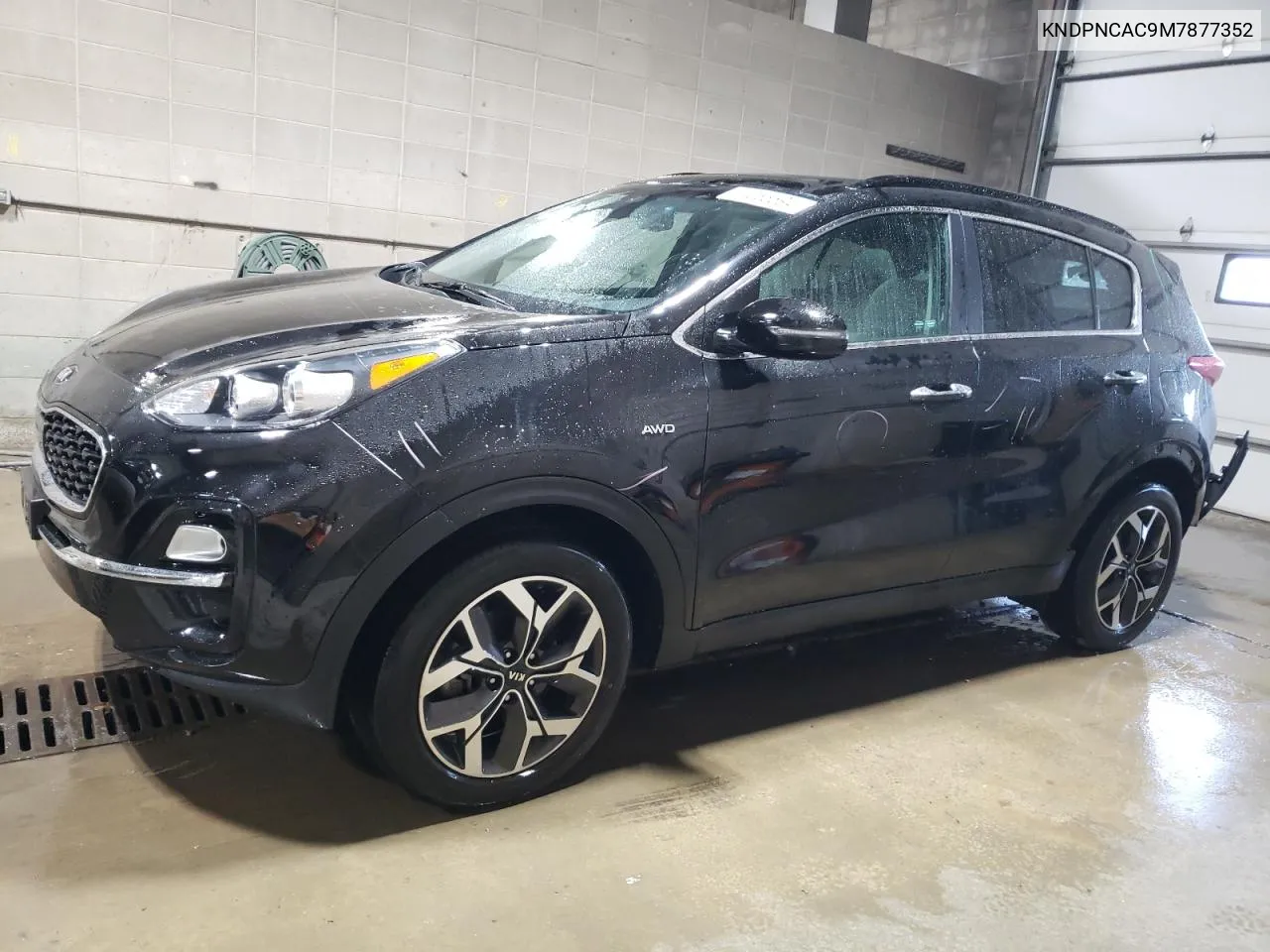 2021 Kia Sportage Ex VIN: KNDPNCAC9M7877352 Lot: 74066594