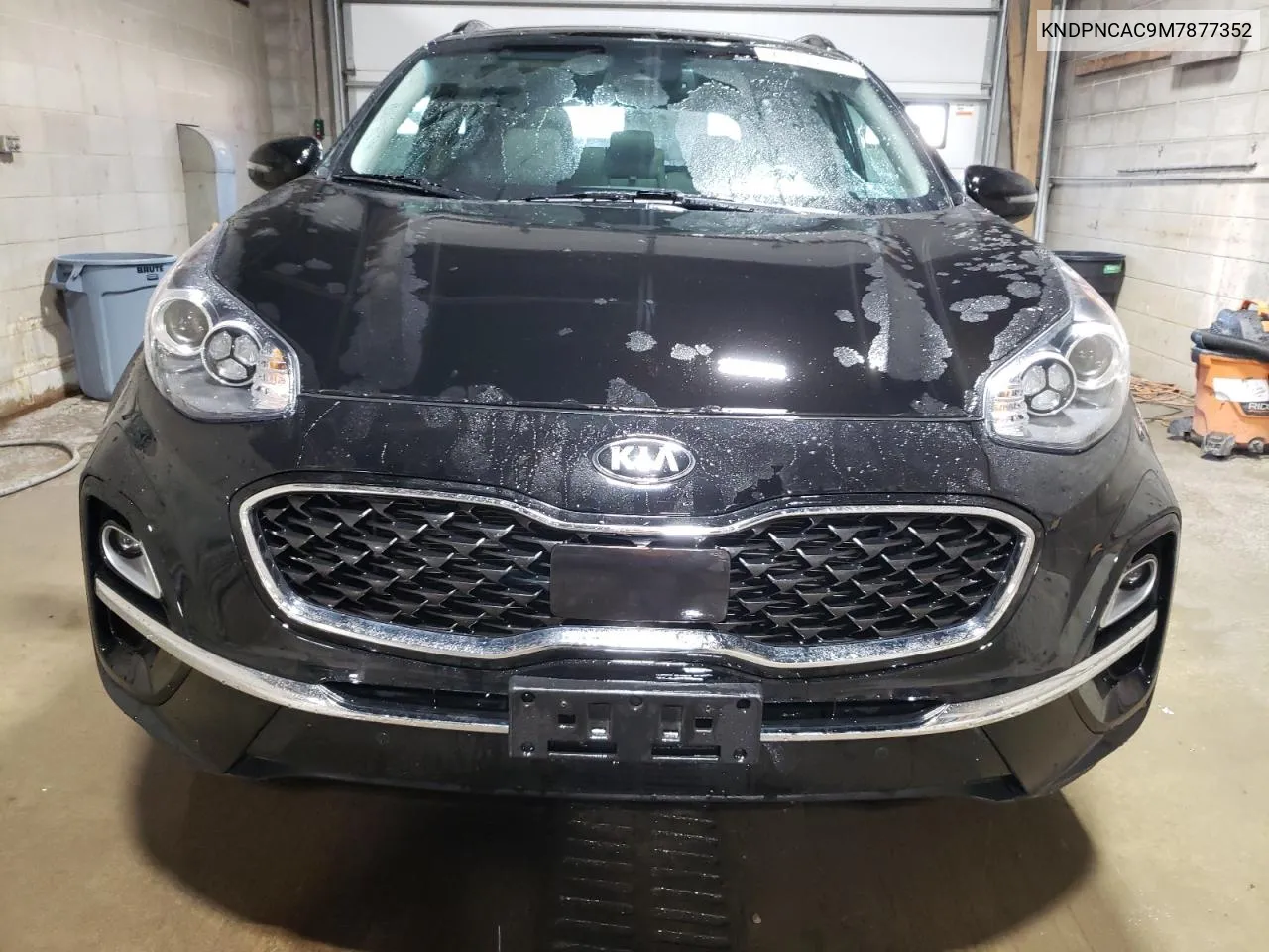 2021 Kia Sportage Ex VIN: KNDPNCAC9M7877352 Lot: 74066594