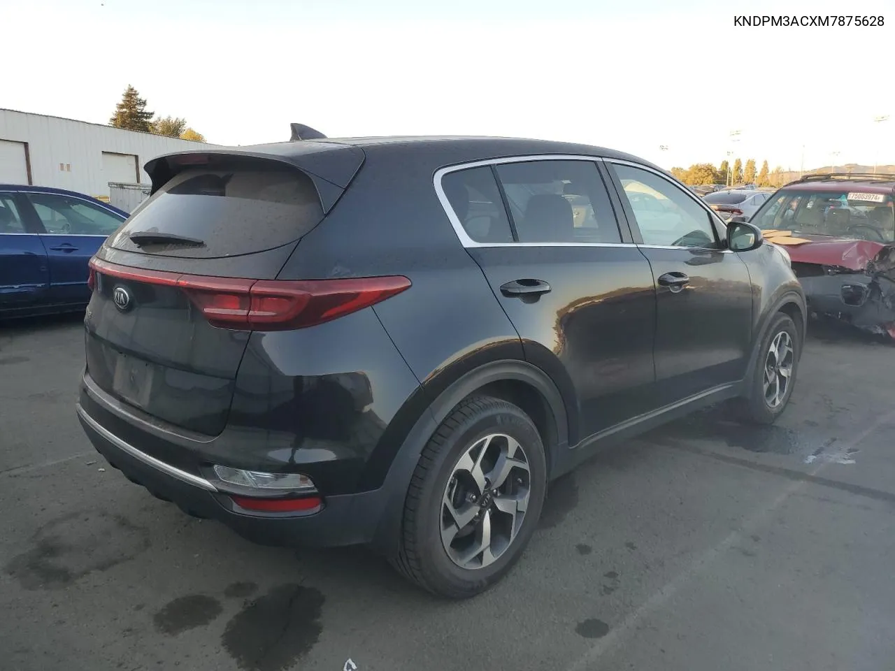 2021 Kia Sportage Lx VIN: KNDPM3ACXM7875628 Lot: 74989344