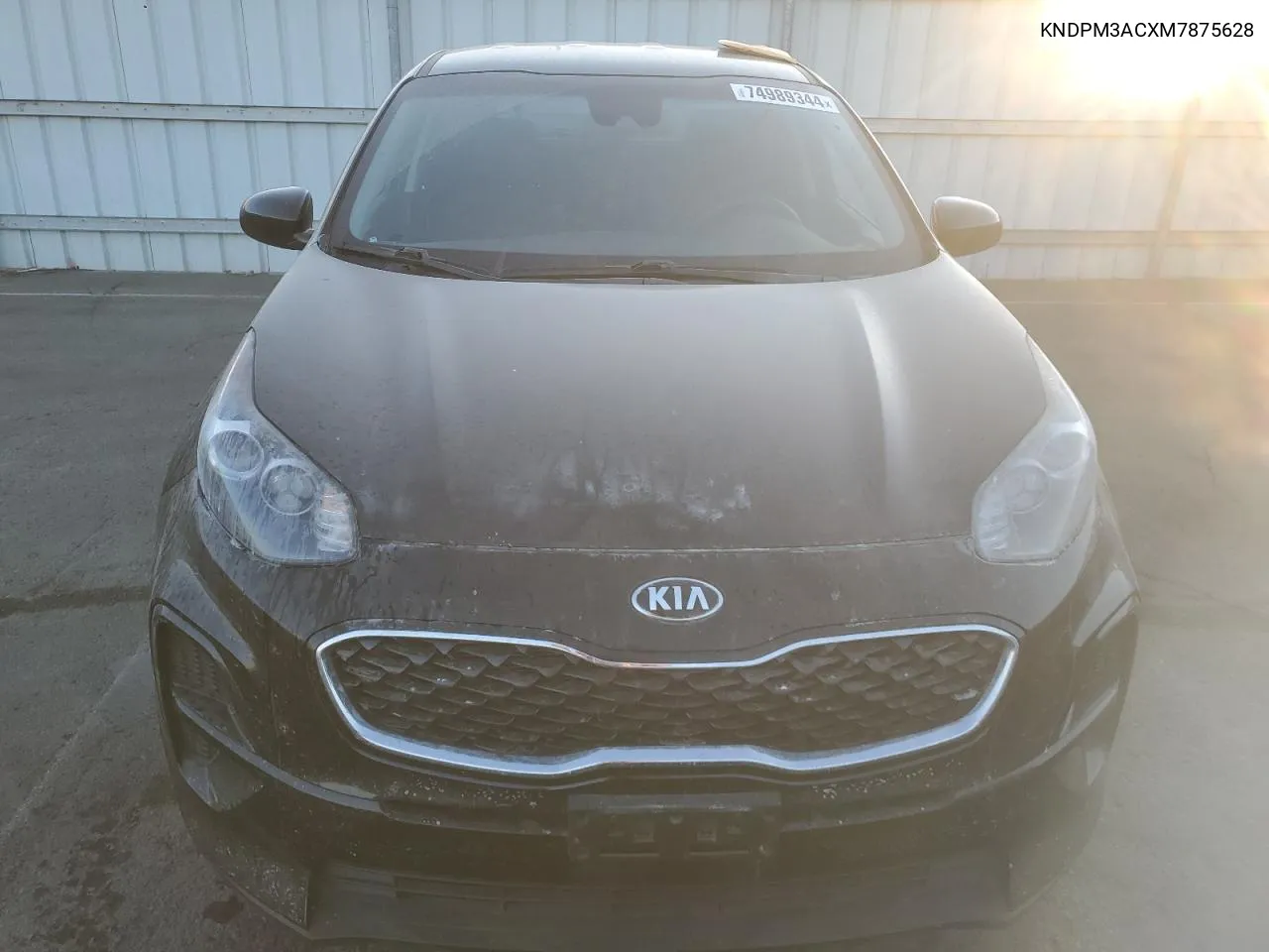 2021 Kia Sportage Lx VIN: KNDPM3ACXM7875628 Lot: 74989344