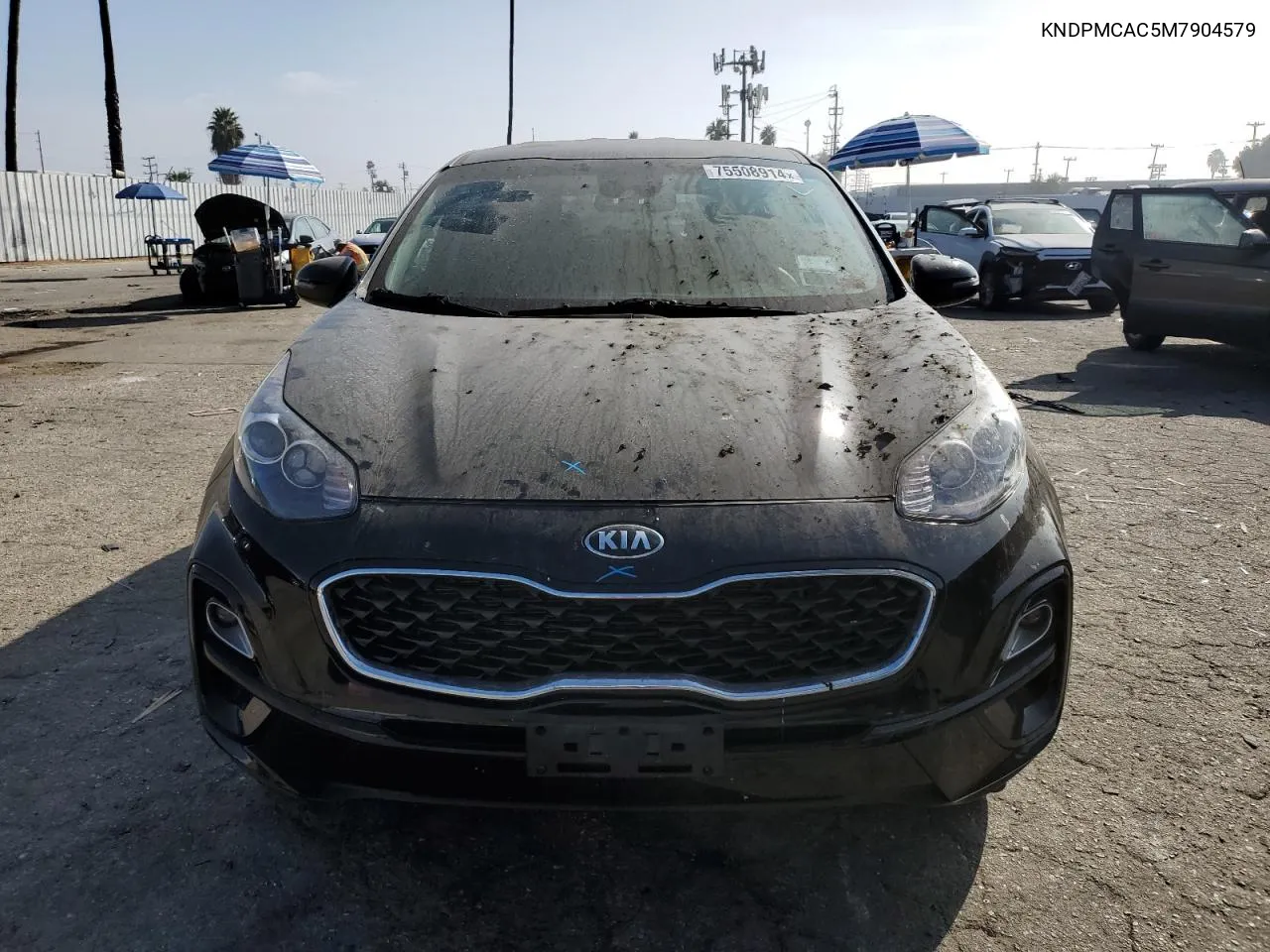 2021 Kia Sportage Lx VIN: KNDPMCAC5M7904579 Lot: 75508914