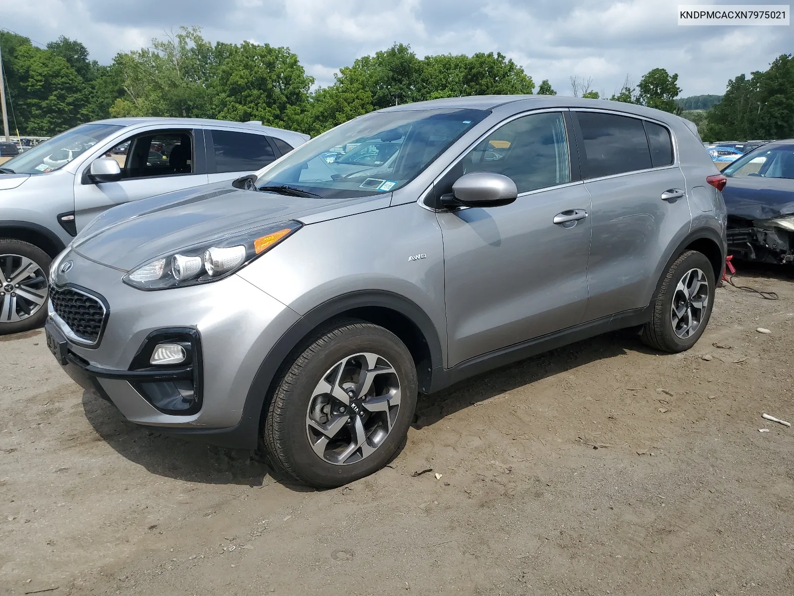 2022 Kia Sportage Lx VIN: KNDPMCACXN7975021 Lot: 65629634