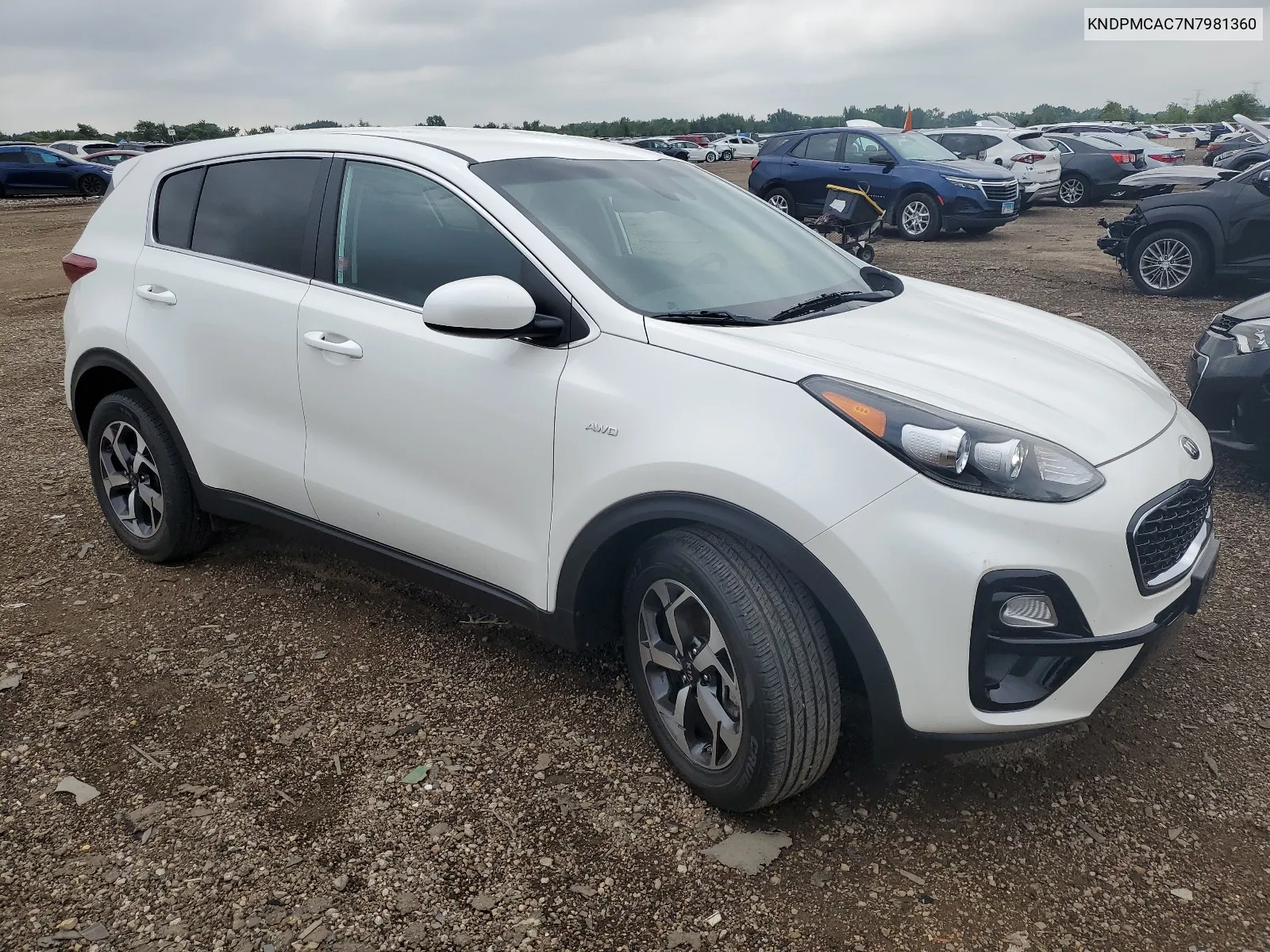 2022 Kia Sportage Lx VIN: KNDPMCAC7N7981360 Lot: 65805224