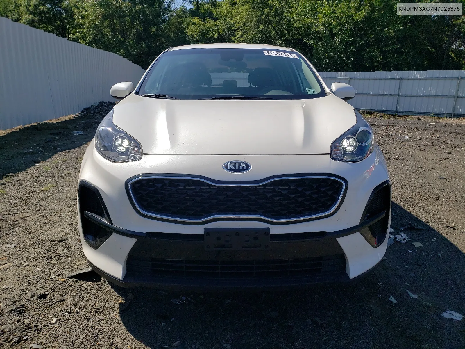 2022 Kia Sportage Lx VIN: KNDPM3AC7N7025375 Lot: 66507414