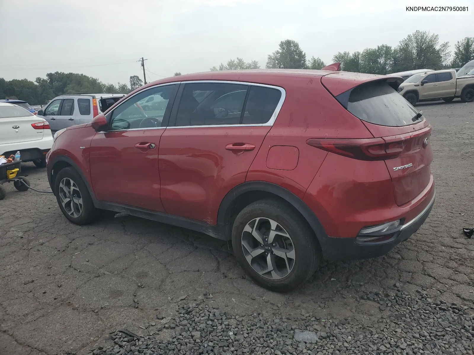 2022 Kia Sportage Lx VIN: KNDPMCAC2N7950081 Lot: 66508434