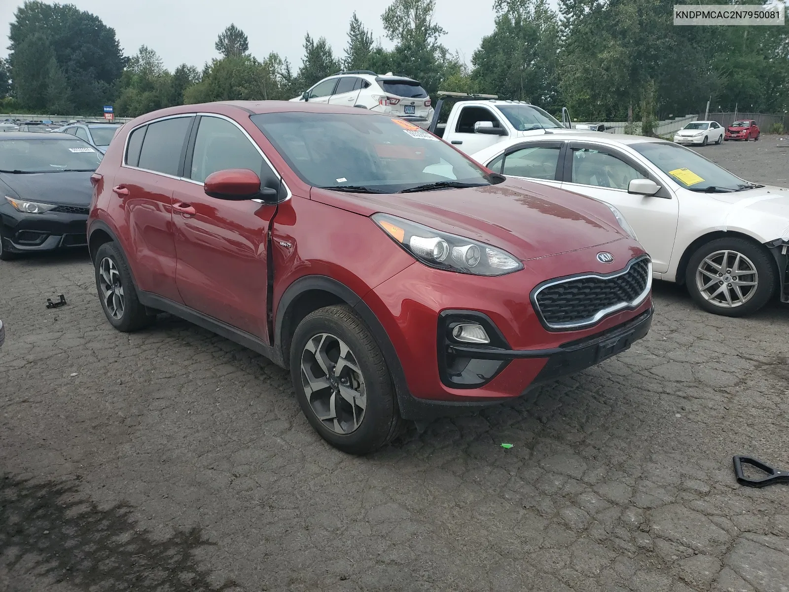 2022 Kia Sportage Lx VIN: KNDPMCAC2N7950081 Lot: 66508434