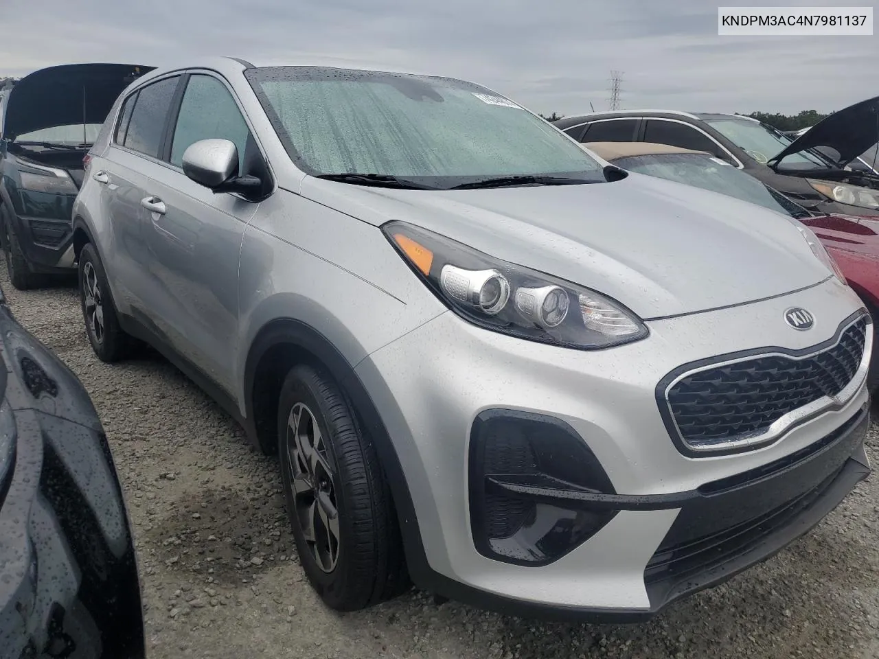 2022 Kia Sportage Lx VIN: KNDPM3AC4N7981137 Lot: 74244674