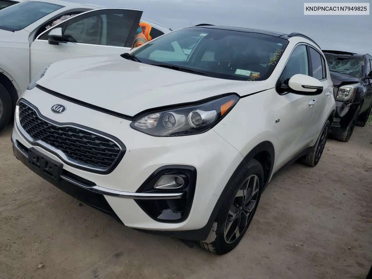 2022 Kia Sportage Ex VIN: KNDPNCAC1N7949825 Lot: 75465704