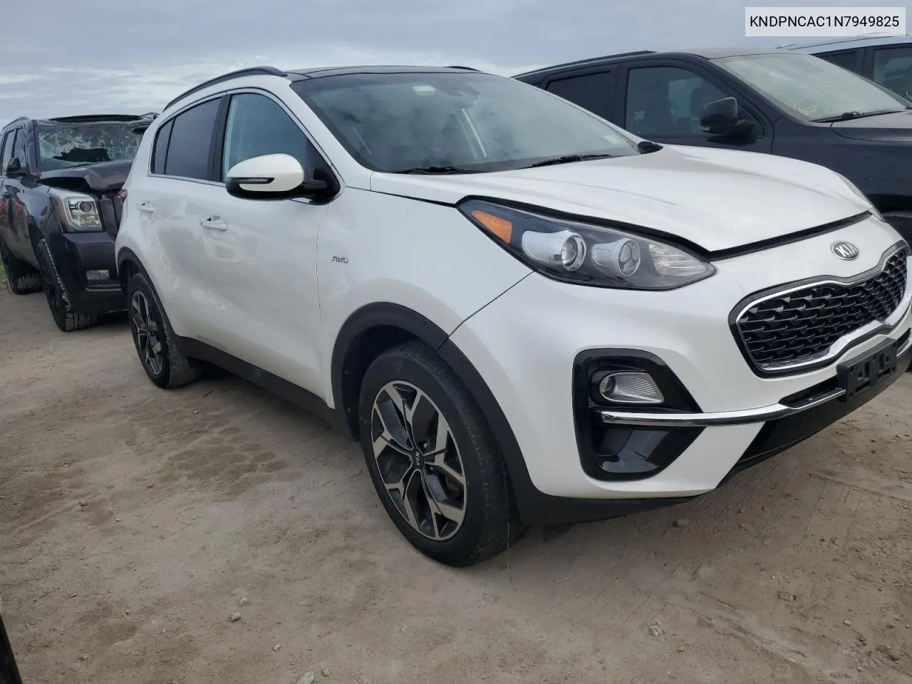 2022 Kia Sportage Ex VIN: KNDPNCAC1N7949825 Lot: 75465704