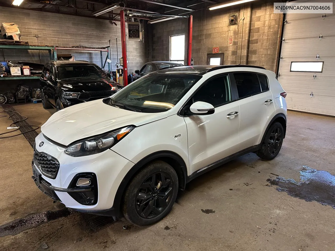 2022 Kia Sportage Ex VIN: KNDPNCAC9N7004606 Lot: 76879534