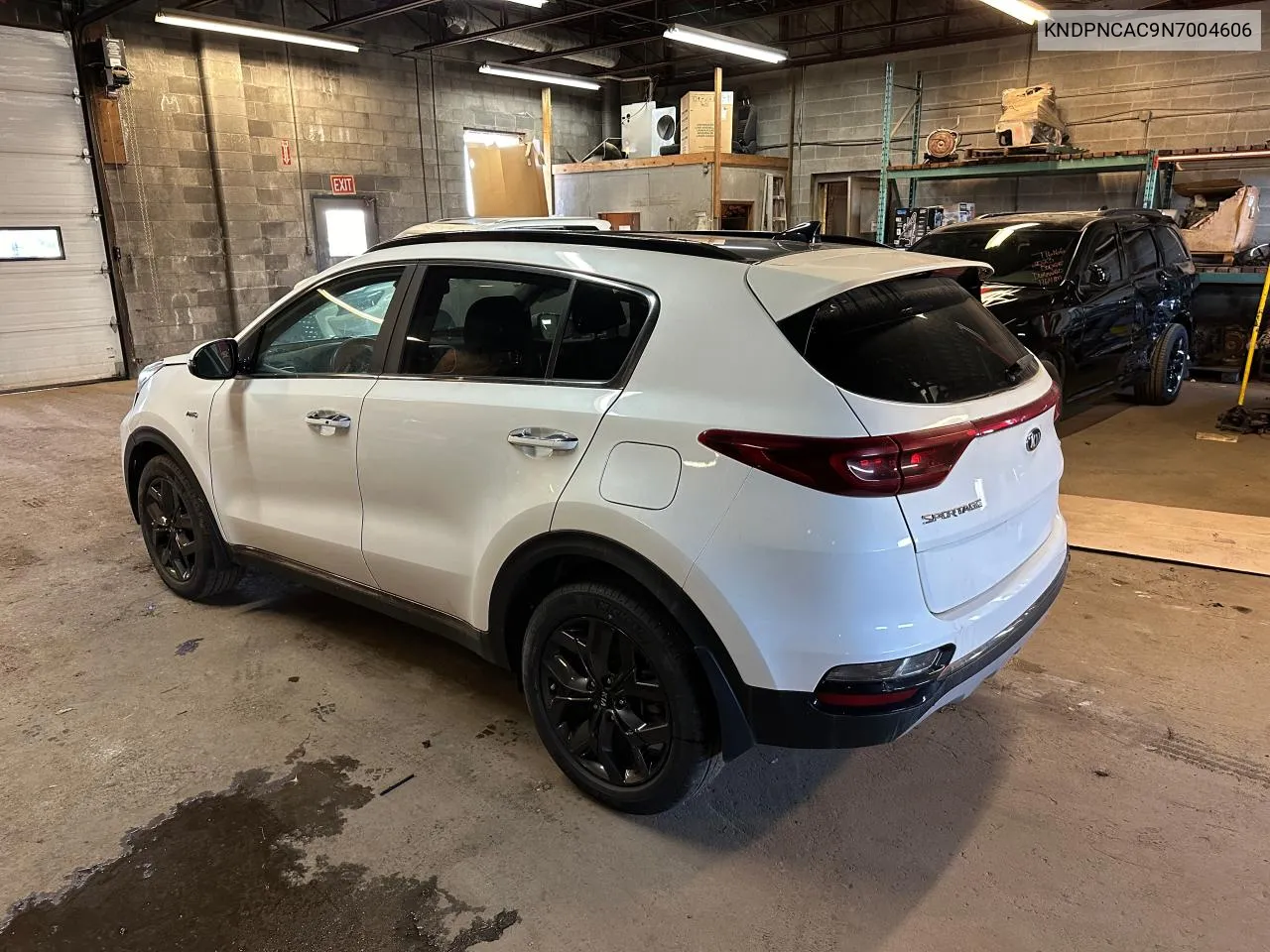 2022 Kia Sportage Ex VIN: KNDPNCAC9N7004606 Lot: 76879534