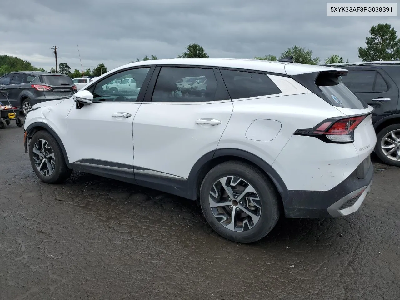 2023 Kia Sportage Ex VIN: 5XYK33AF8PG038391 Lot: 57302844