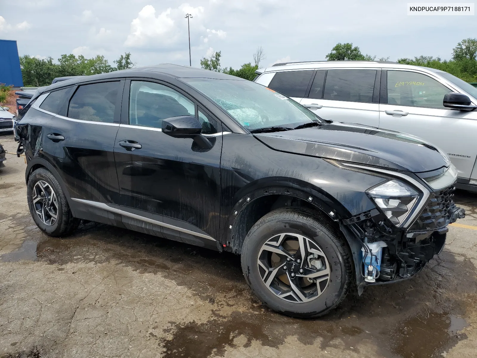 2023 Kia Sportage Lx VIN: KNDPUCAF9P7188171 Lot: 61565594