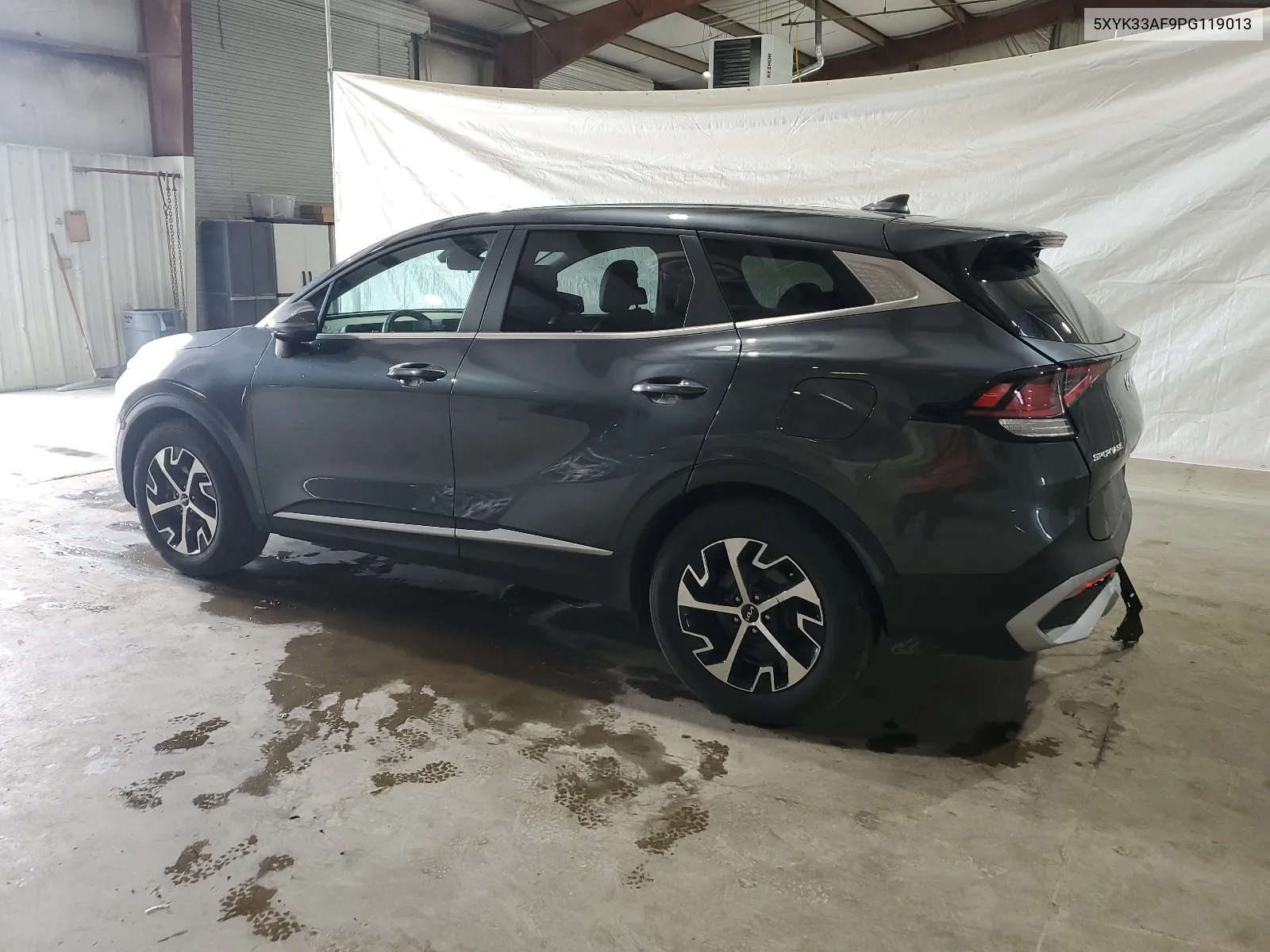 2023 Kia Sportage Ex VIN: 5XYK33AF9PG119013 Lot: 65669654