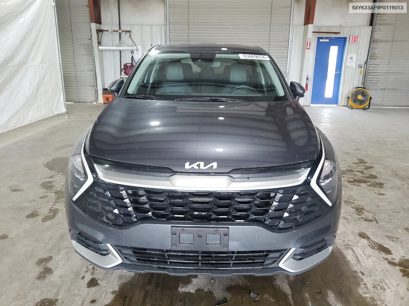 2023 Kia Sportage Ex VIN: 5XYK33AF9PG119013 Lot: 65669654