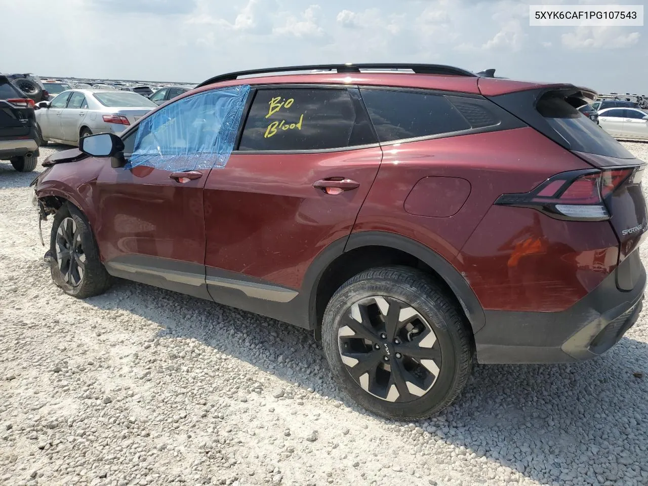 2023 Kia Sportage X Line VIN: 5XYK6CAF1PG107543 Lot: 66623364