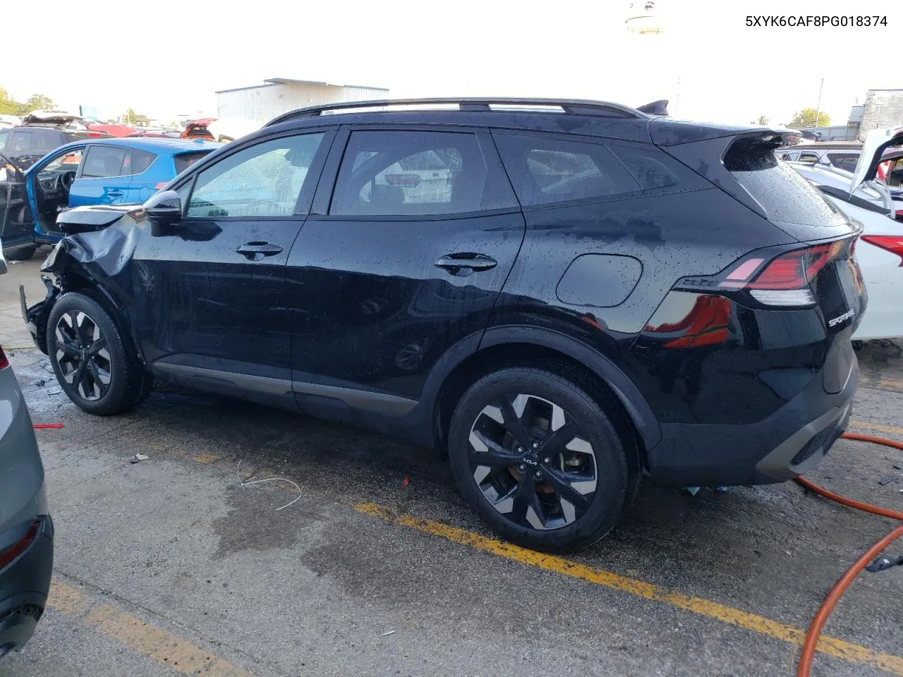 2023 Kia Sportage X Line VIN: 5XYK6CAF8PG018374 Lot: 67990504