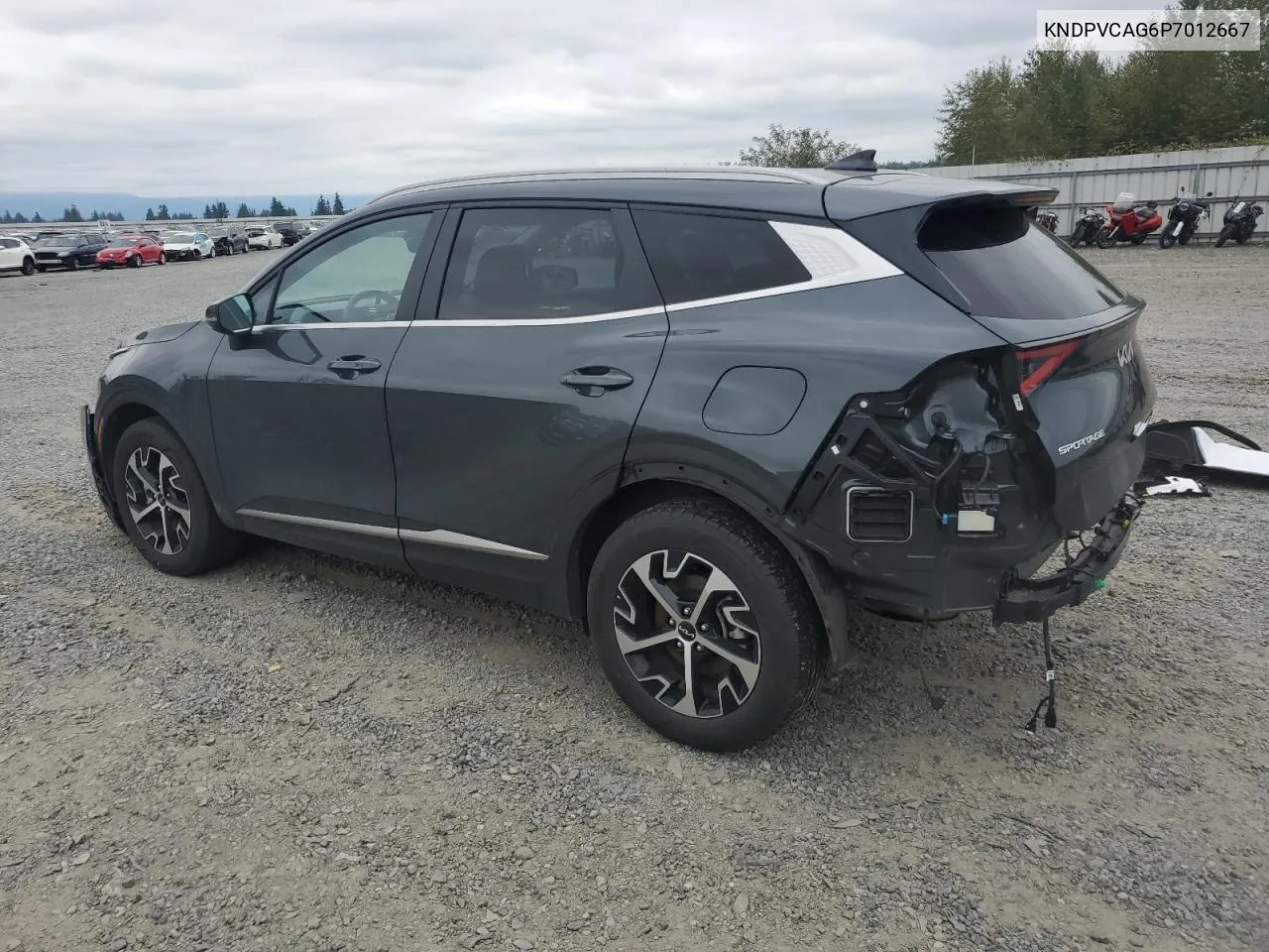 2023 Kia Sportage Ex VIN: KNDPVCAG6P7012667 Lot: 70246434