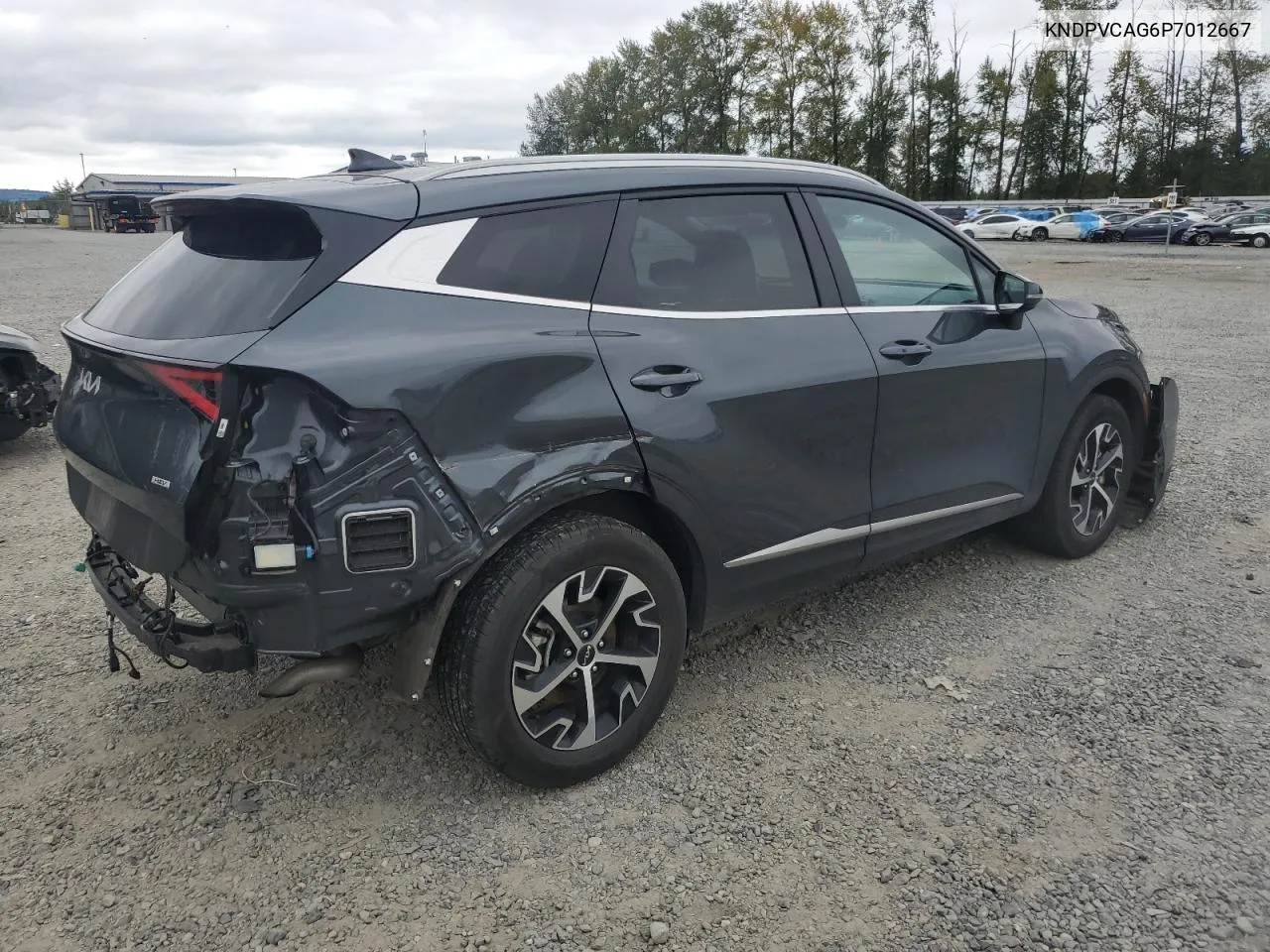 2023 Kia Sportage Ex VIN: KNDPVCAG6P7012667 Lot: 70246434