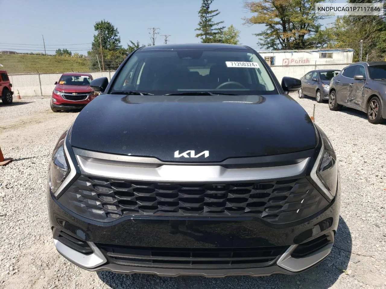 2023 Kia Sportage Lx VIN: KNDPUCAG1P7117846 Lot: 71250324