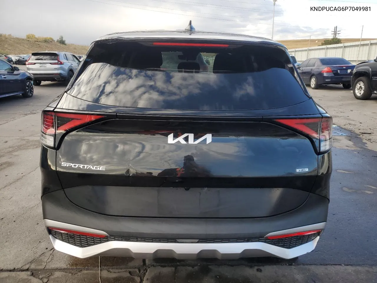 2023 Kia Sportage Lx VIN: KNDPUCAG6P7049981 Lot: 75354164