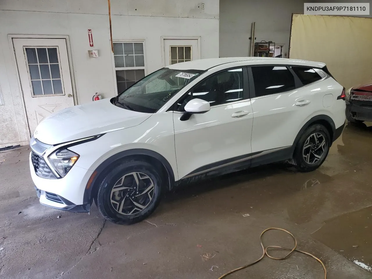 2023 Kia Sportage Lx VIN: KNDPU3AF9P7181110 Lot: 76786954