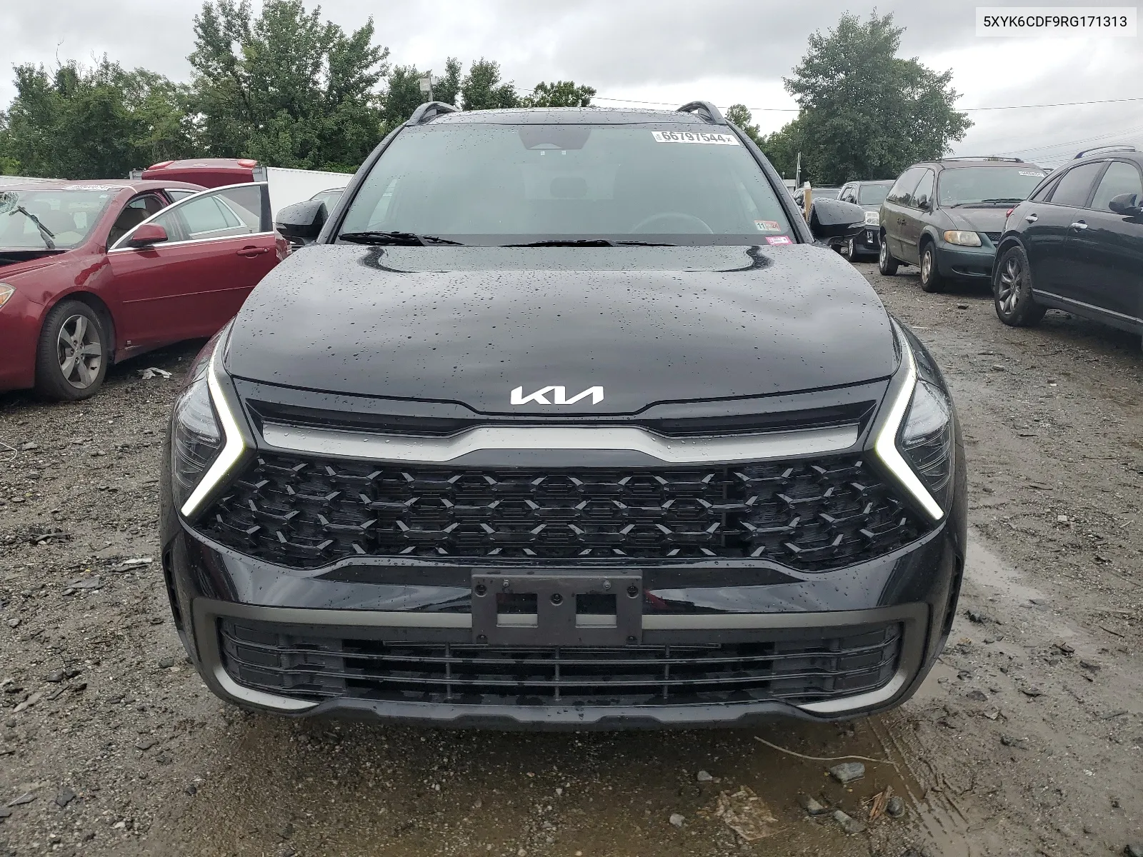 2024 Kia Sportage X Line VIN: 5XYK6CDF9RG171313 Lot: 66797544