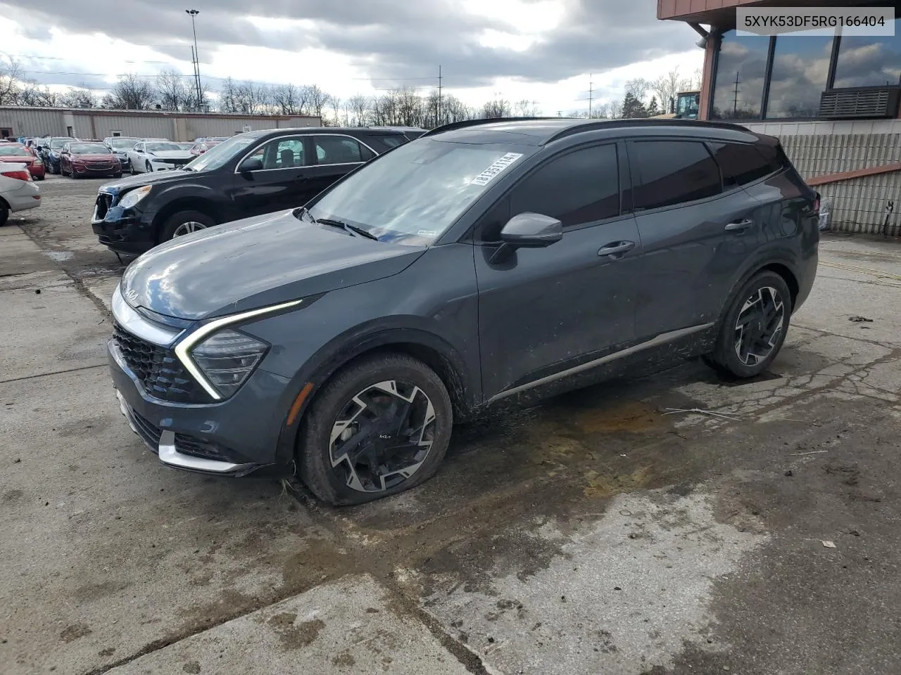 2024 Kia Sportage Sx Prestige VIN: 5XYK53DF5RG166404 Lot: 81351114