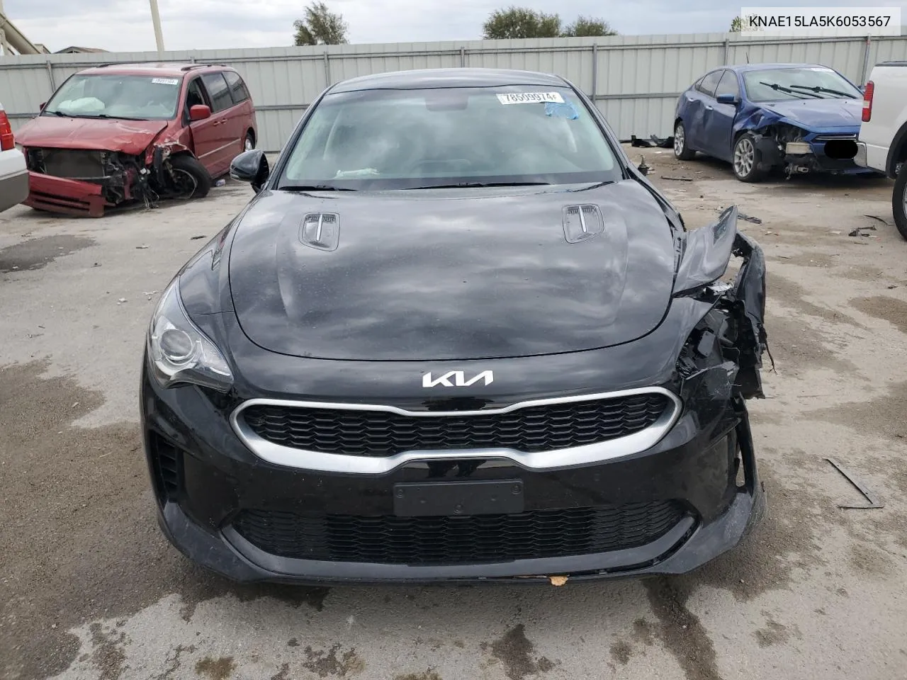 2019 Kia Stinger VIN: KNAE15LA5K6053567 Lot: 78509974