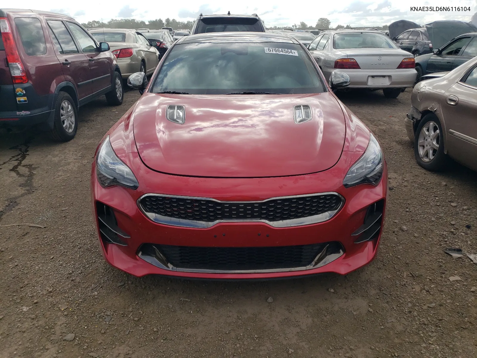 2022 Kia Stinger Gt Line VIN: KNAE35LD6N6116104 Lot: 67664564