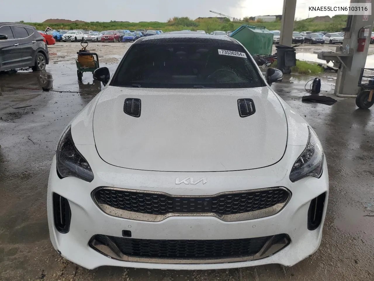 2022 Kia Stinger Gt2 VIN: KNAE55LC1N6103116 Lot: 73536264