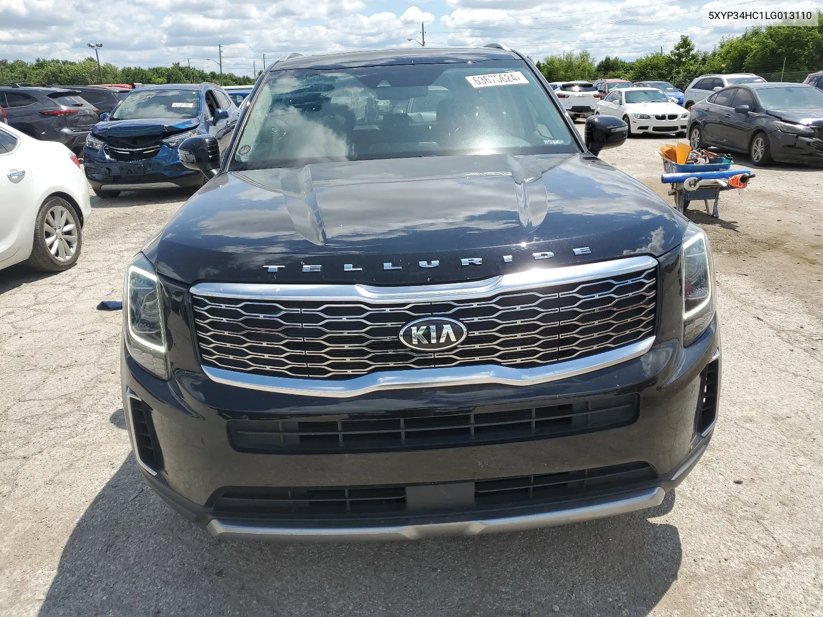 2020 Kia Telluride Ex VIN: 5XYP34HC1LG013110 Lot: 63675624