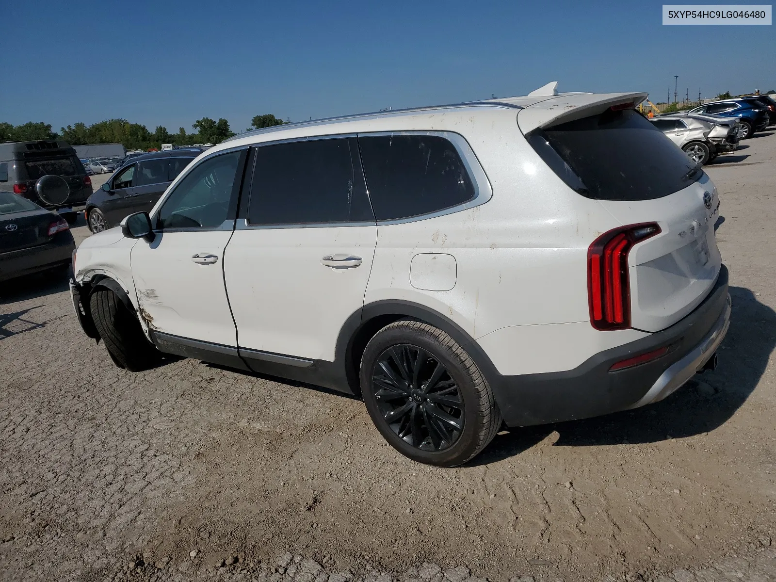 2020 Kia Telluride Sx VIN: 5XYP54HC9LG046480 Lot: 66004274