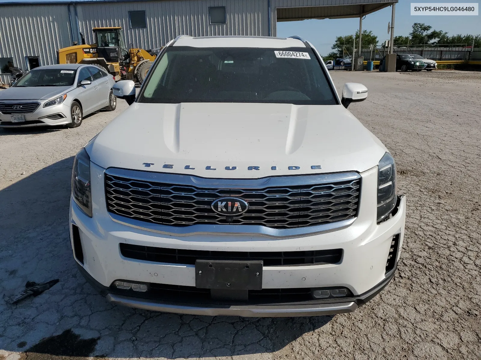 2020 Kia Telluride Sx VIN: 5XYP54HC9LG046480 Lot: 66004274