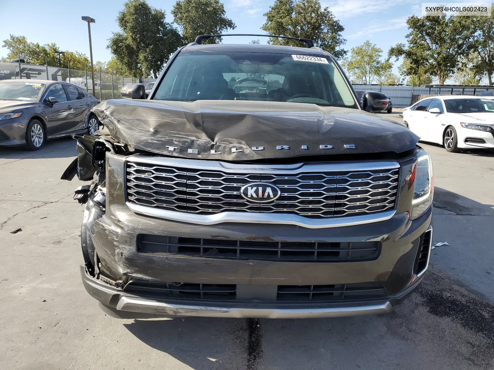 2020 Kia Telluride Ex VIN: 5XYP34HC0LG002423 Lot: 66622334