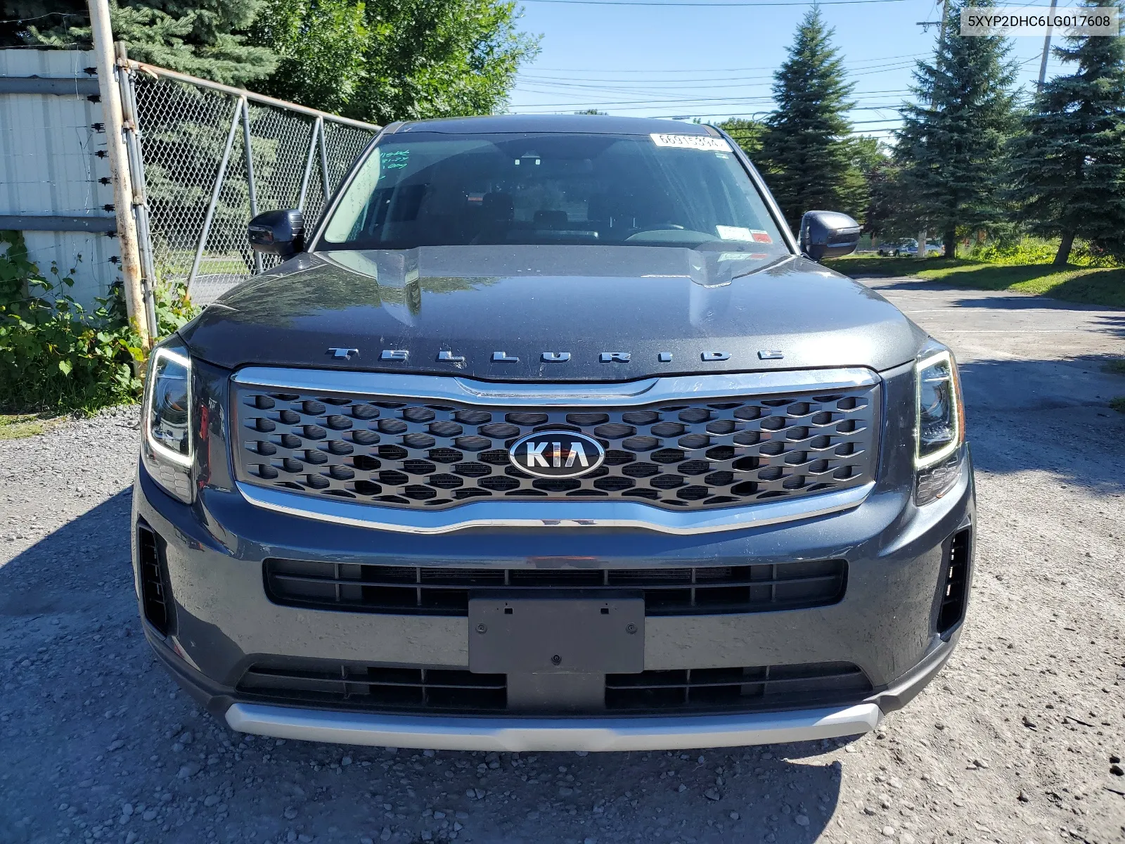 2020 Kia Telluride Lx VIN: 5XYP2DHC6LG017608 Lot: 66915394