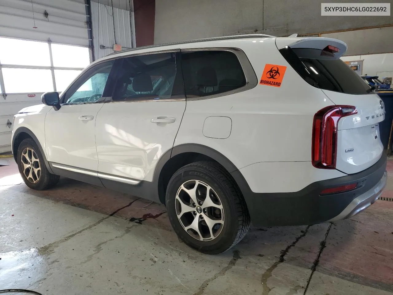 2020 Kia Telluride Ex VIN: 5XYP3DHC6LG022692 Lot: 67127744