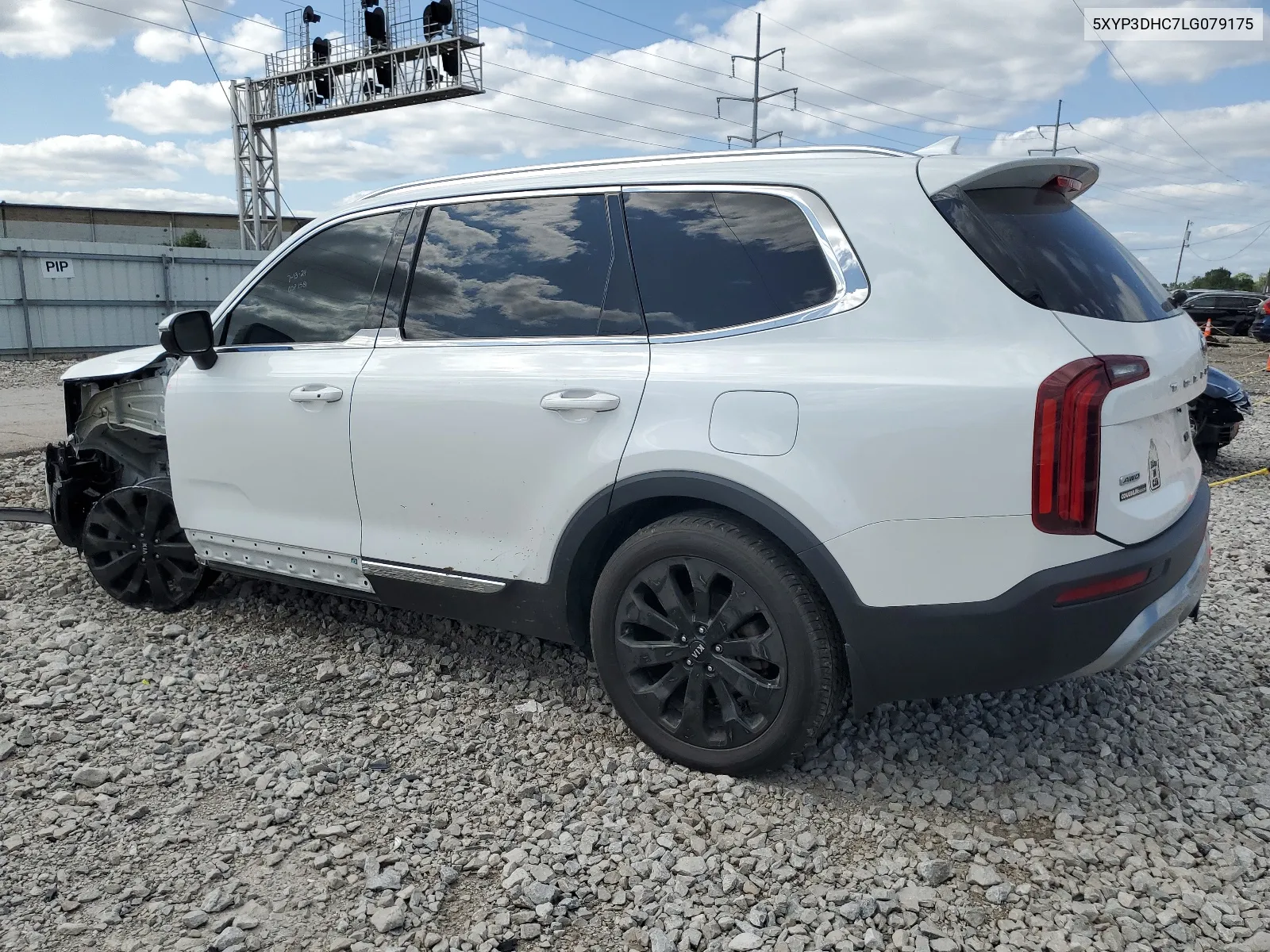 2020 Kia Telluride Ex VIN: 5XYP3DHC7LG079175 Lot: 67671294