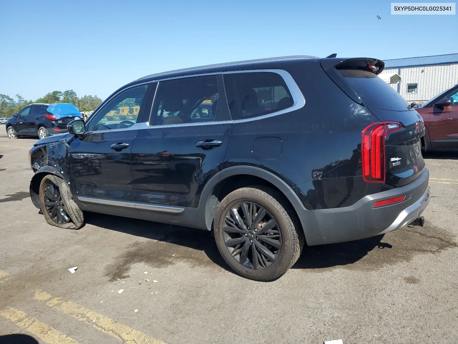 2020 Kia Telluride Sx VIN: 5XYP5DHC0LG025341 Lot: 68351304