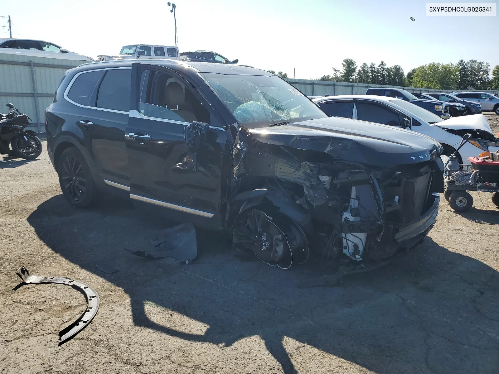 2020 Kia Telluride Sx VIN: 5XYP5DHC0LG025341 Lot: 68351304