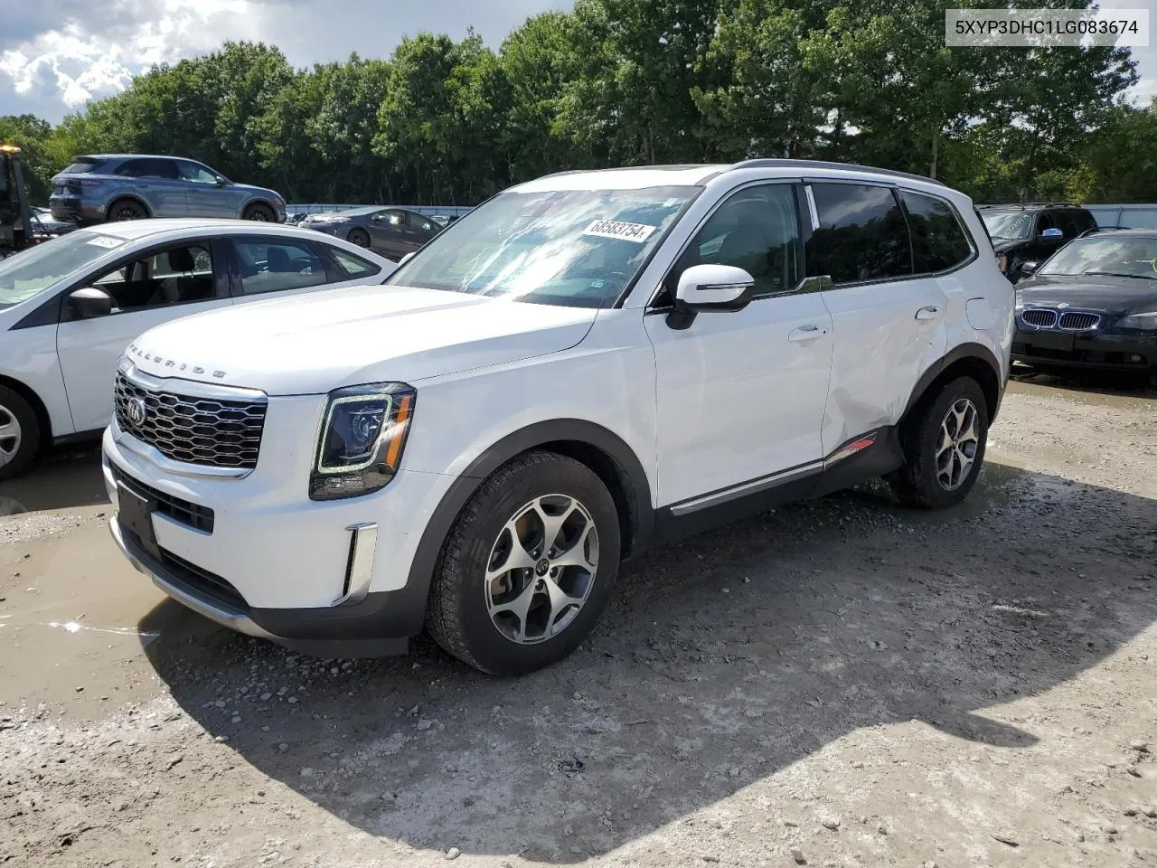 2020 Kia Telluride Ex VIN: 5XYP3DHC1LG083674 Lot: 68583754