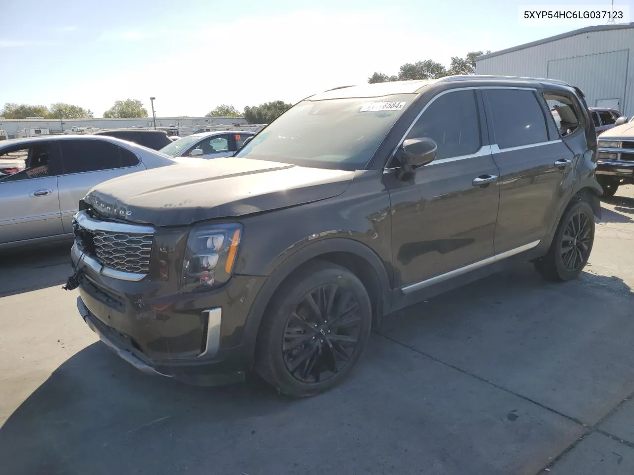 2020 Kia Telluride Sx VIN: 5XYP54HC6LG037123 Lot: 71128584