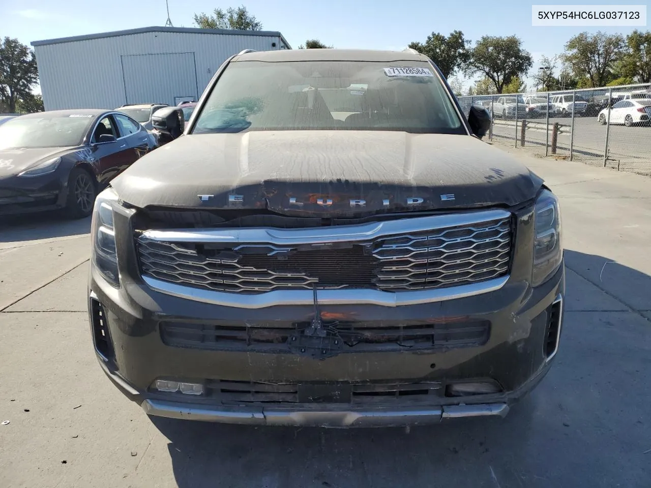 2020 Kia Telluride Sx VIN: 5XYP54HC6LG037123 Lot: 71128584