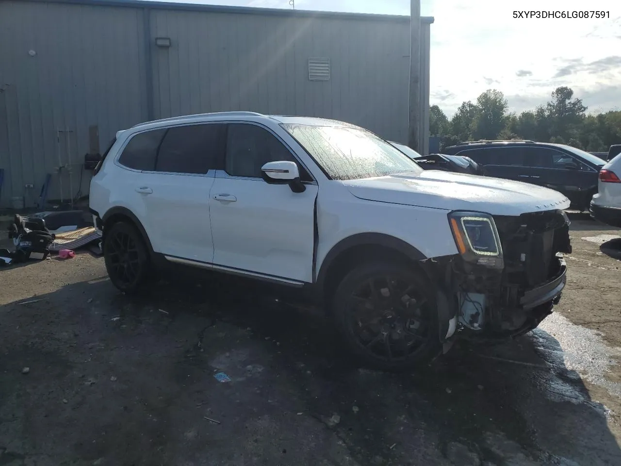 2020 Kia Telluride Ex VIN: 5XYP3DHC6LG087591 Lot: 71791724